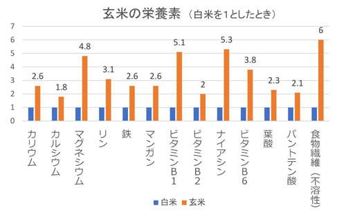 玄米の栄養素グラフ