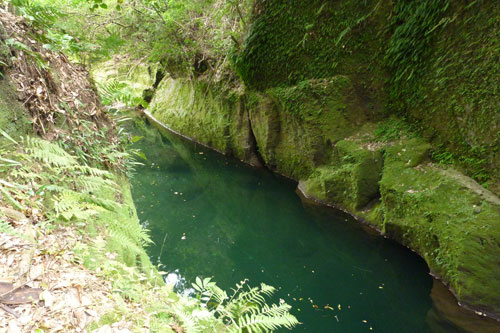 透明な水が流れる渓谷