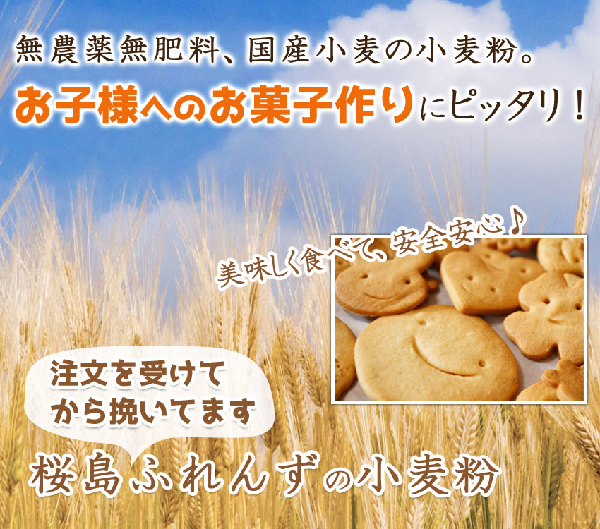 無農薬無肥料、国産小麦の小麦粉。お子様へのお菓子作りにピッタリ!
