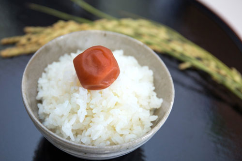 炊きたての白飯